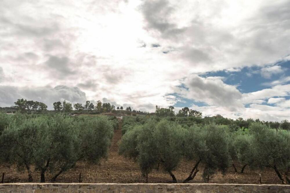 Photo of Others in Olvera