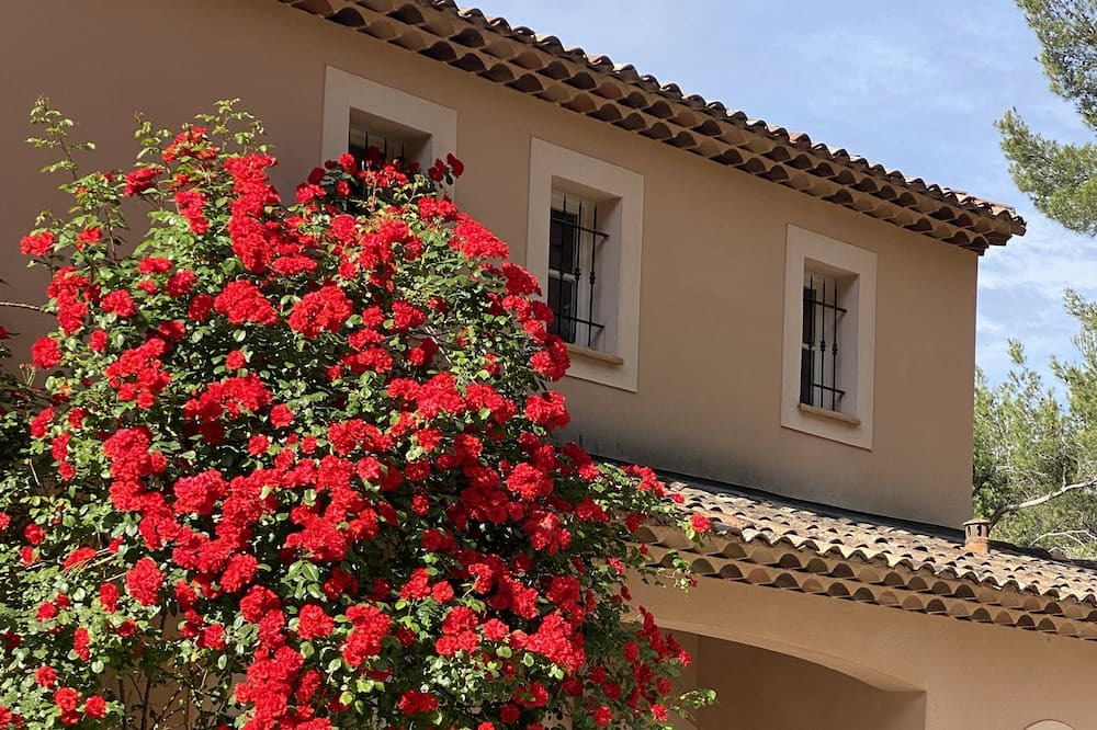 Photo of Outdoor in Vauvenargues