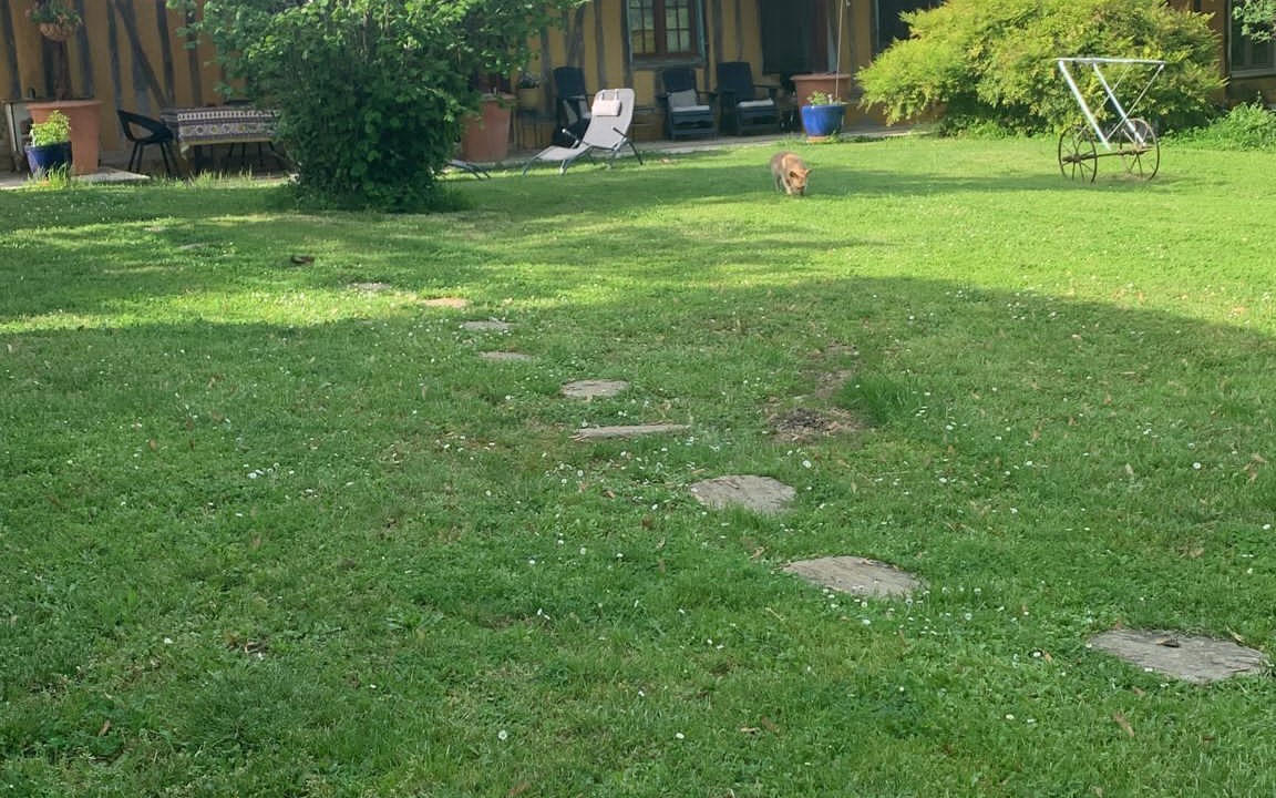 Photo of Outdoor in Berdoues