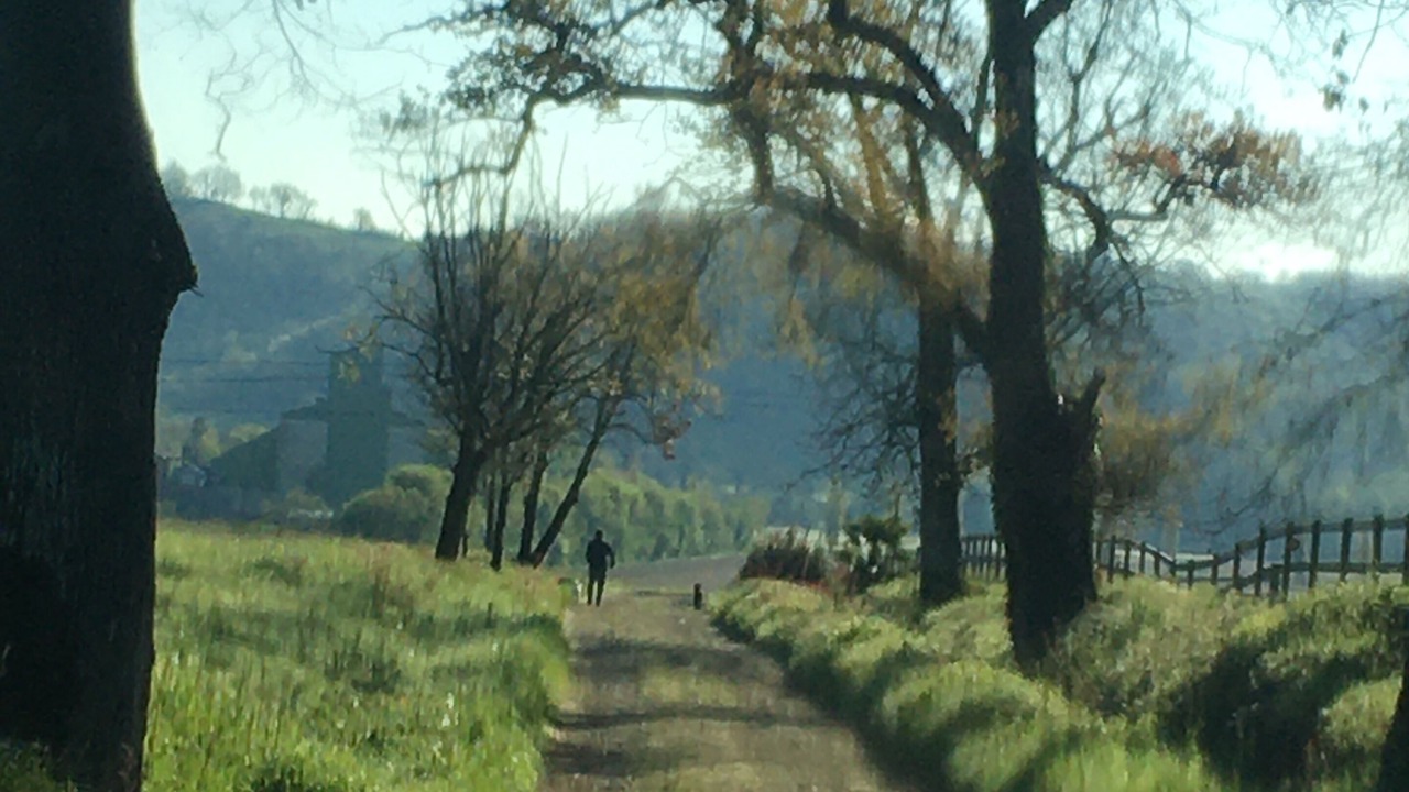 Photo of Outdoor in Berdoues