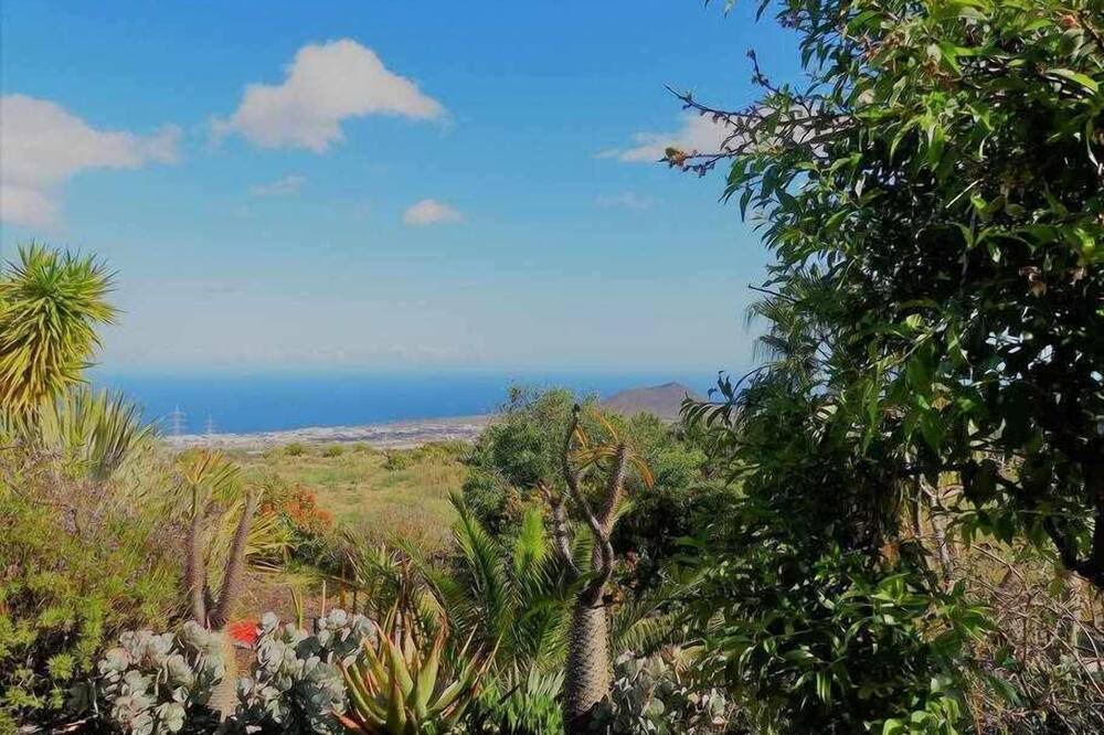 Photo of Outdoor in Arafo