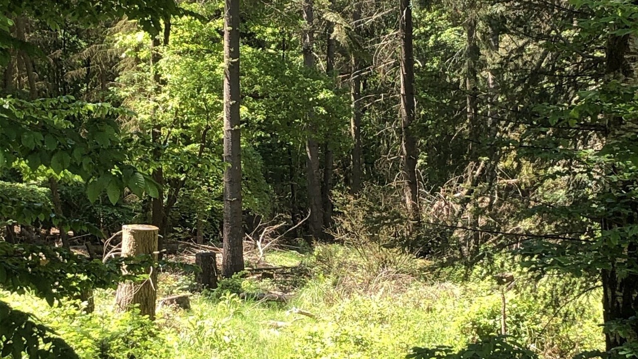 Photo of Outdoor in Oestrich-Winkel