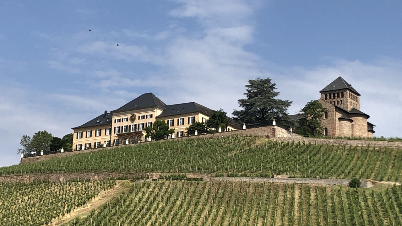 Photo of Outdoor in Oestrich-Winkel