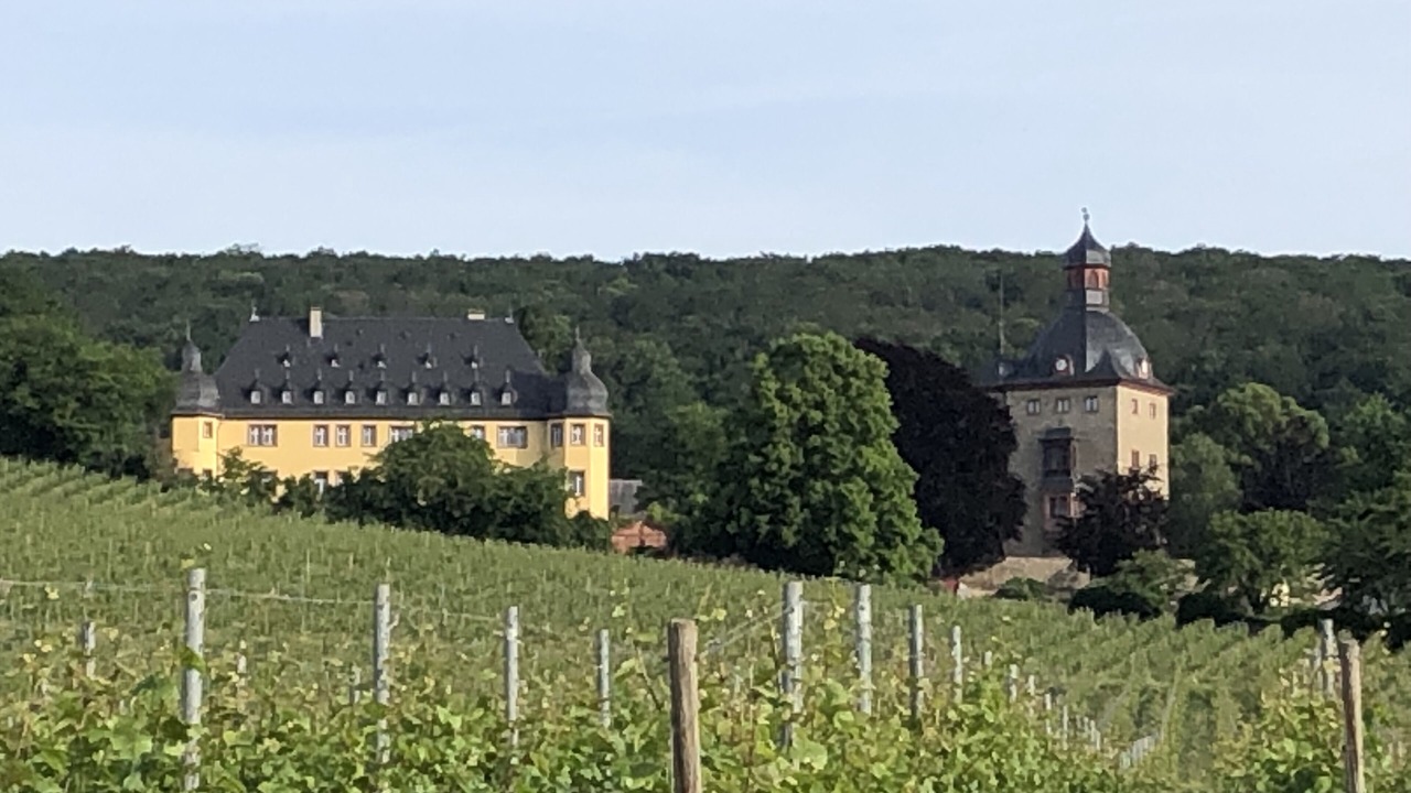 Photo of Outdoor in Oestrich-Winkel