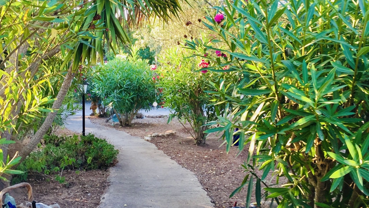 Photo of Outdoor in Son Macia