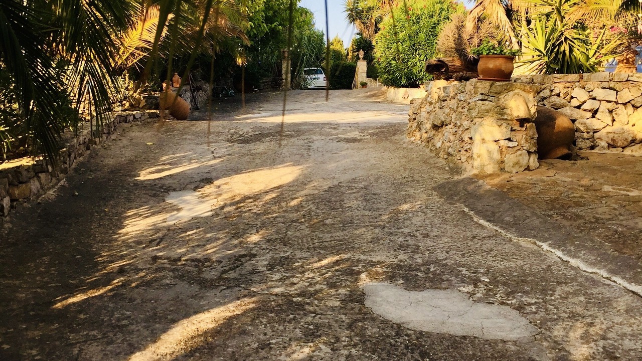 Photo of Outdoor in Son Macia