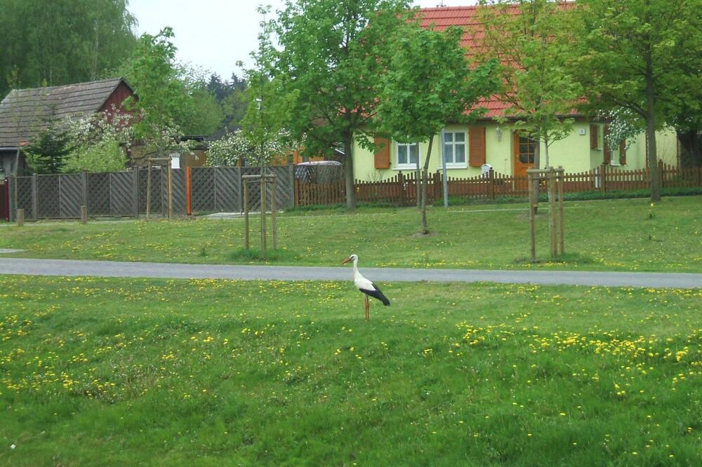 Photo of Others in Oberhavel