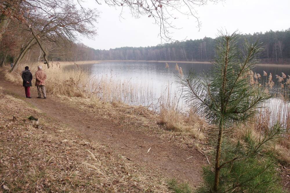 Photo of Others in Oberhavel