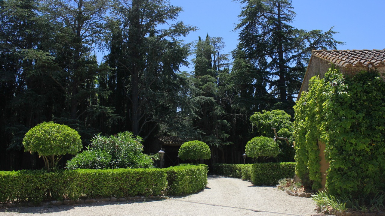 Photo of Outdoor in Darnius