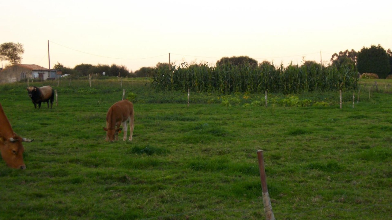 Photo of Outdoor in Puente Nuevo
