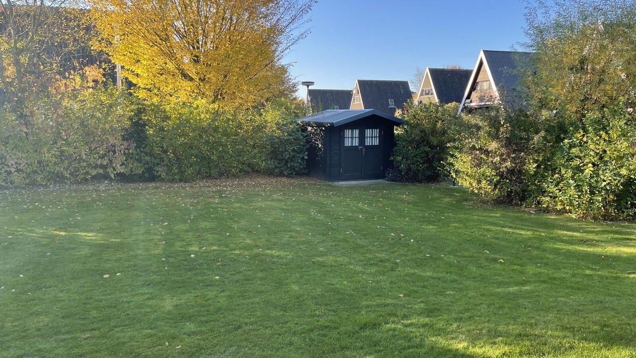 Photo of Outdoor in Damp