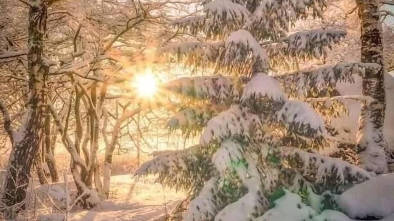 Photo of Outdoor in Morillon