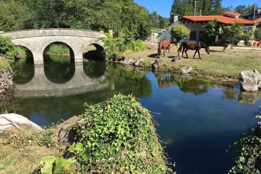 Photo of Outdoor in A Caniza