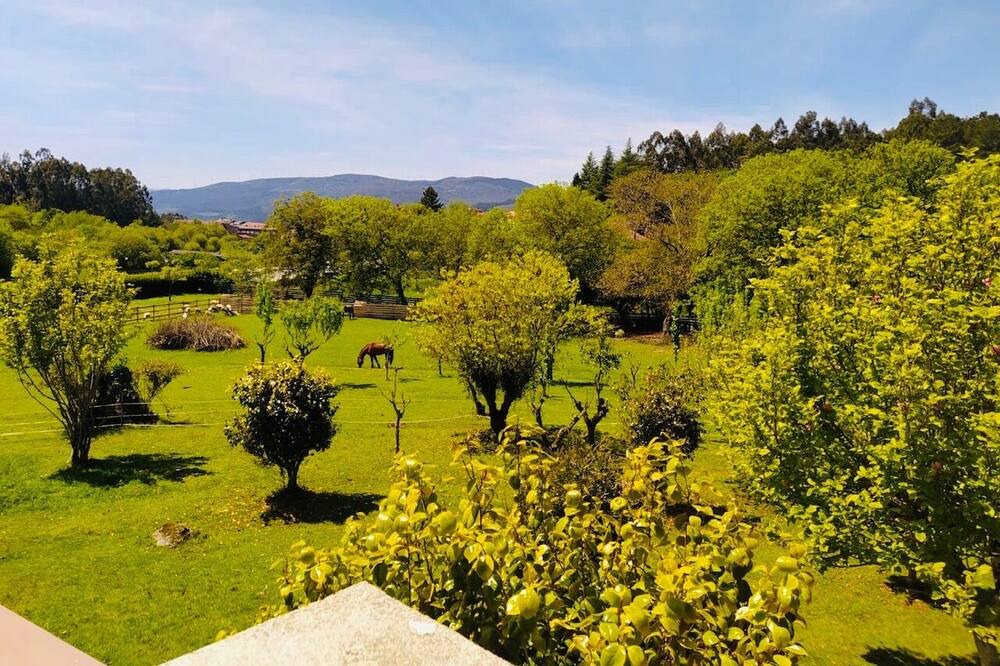 Photo of Outdoor in A Caniza