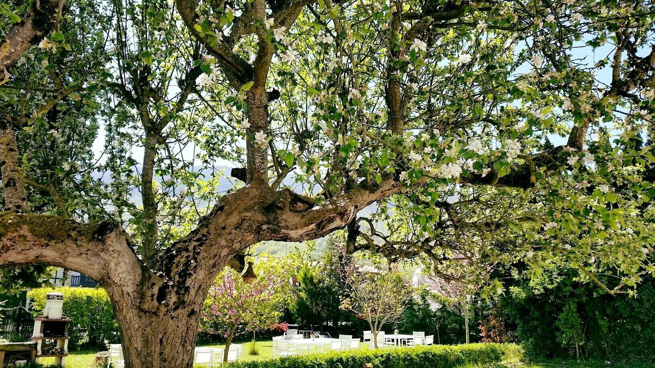 Photo of Outdoor in Alsasua
