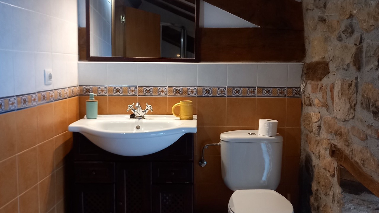 Photo of Bathroom in Alsasua