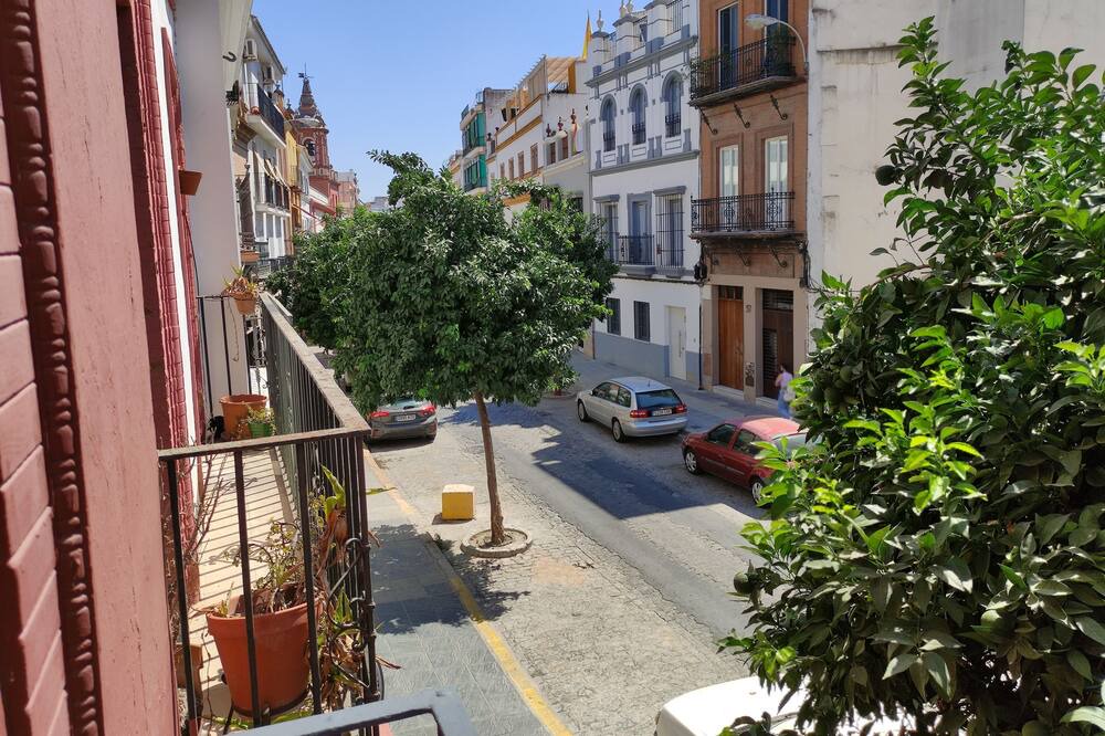 Photo of Others in Triana