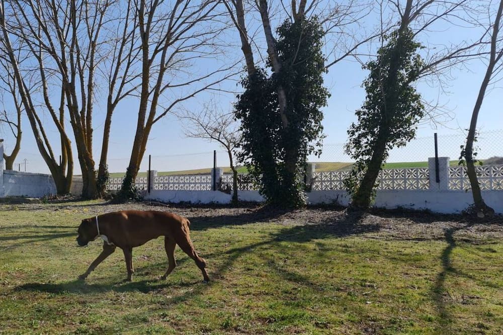 Photo of Outdoor in Villares de la Reina