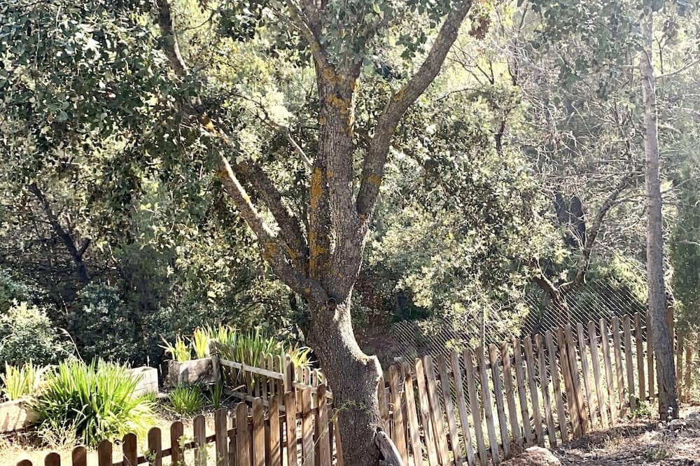 Photo of Outdoor in Albalate de Zorita