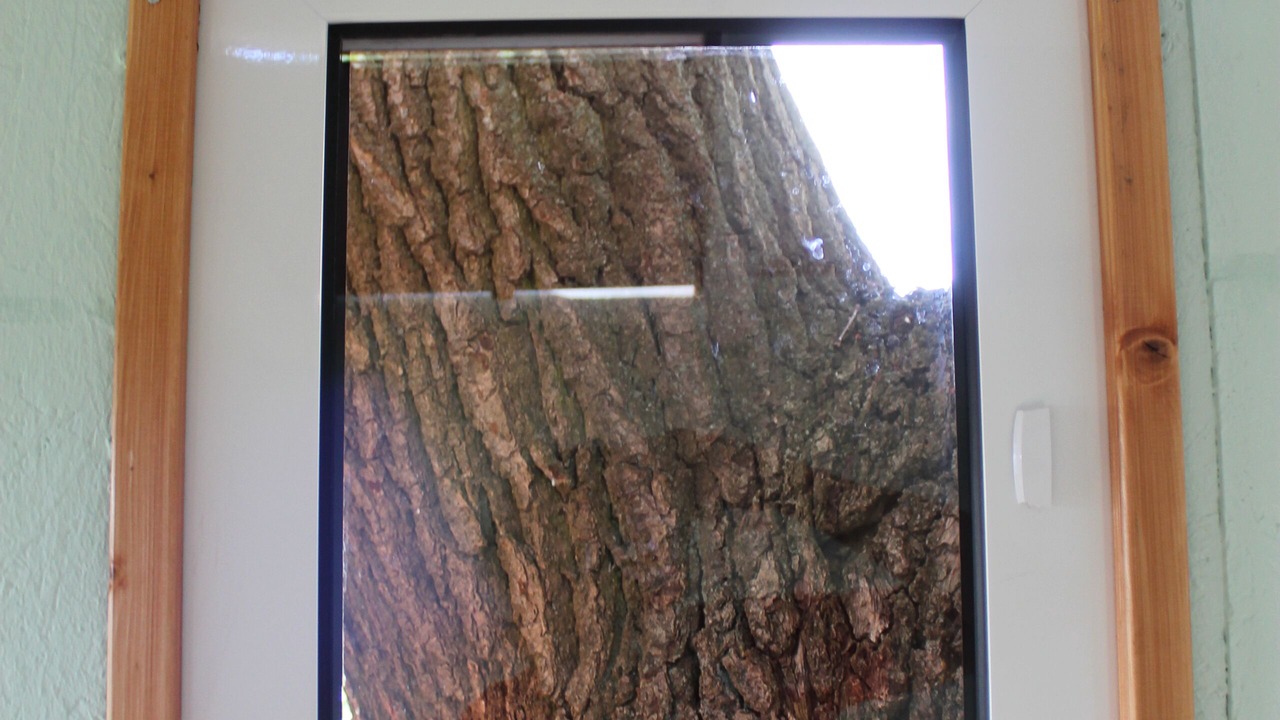 Photo of Others in Thielitz