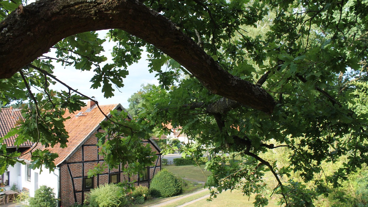 Photo of Outdoor in Thielitz