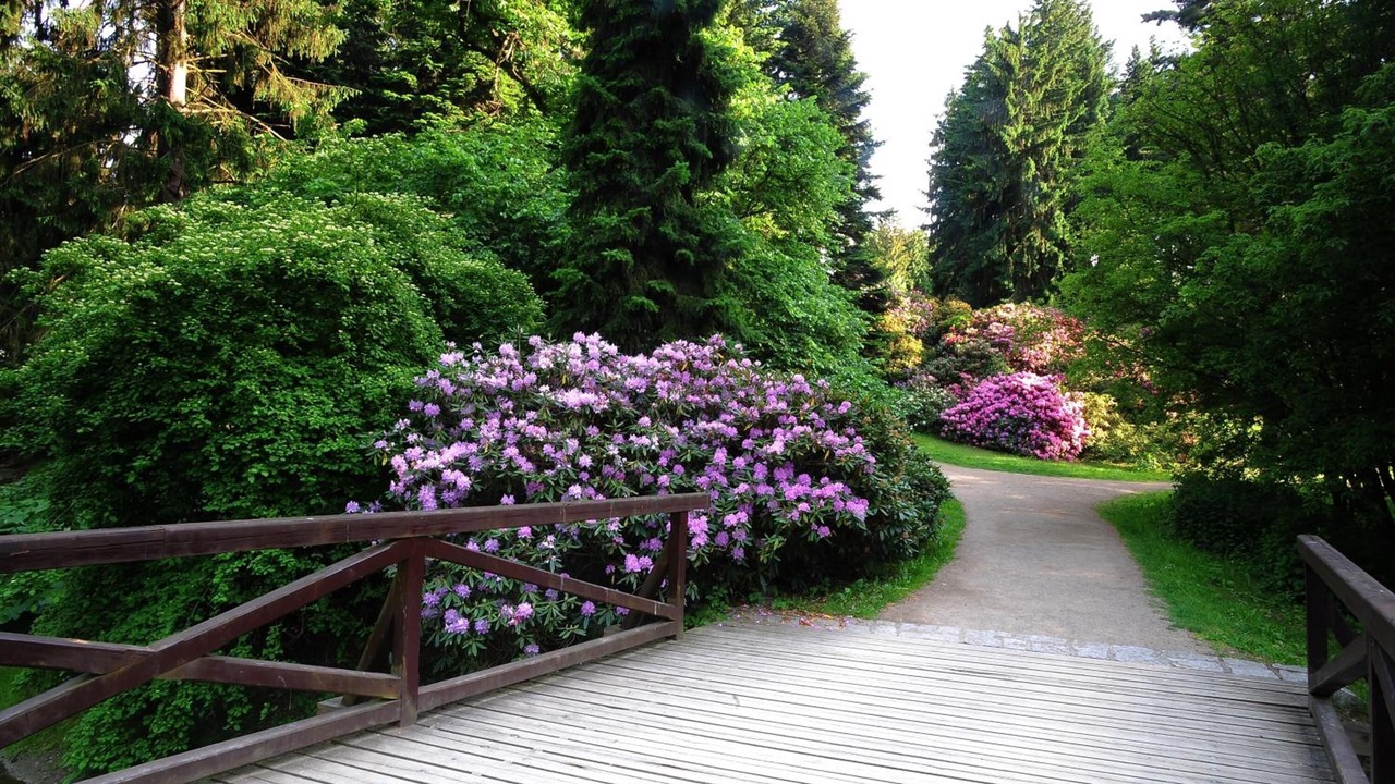 Photo of Outdoor in Pruhonice