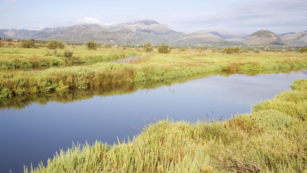 Photo of Outdoor in Can Picafort