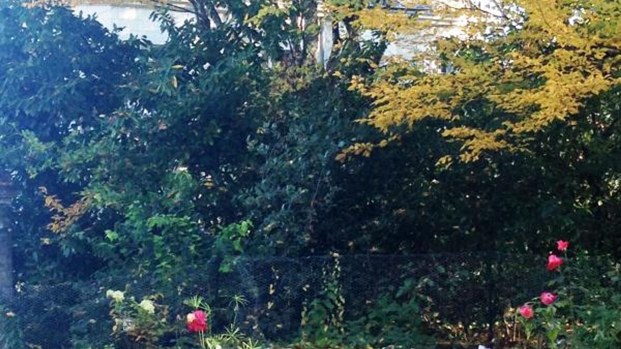 Photo of Outdoor in Rouffignac-Saint-Cernin-de-Reilhac