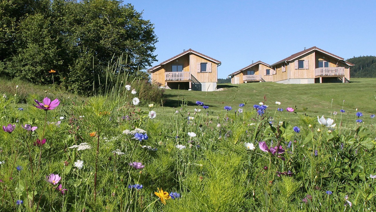 Photo of Buildings in Nanchez