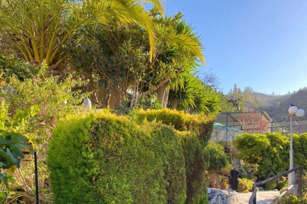 Photo of Outdoor in El Jaral