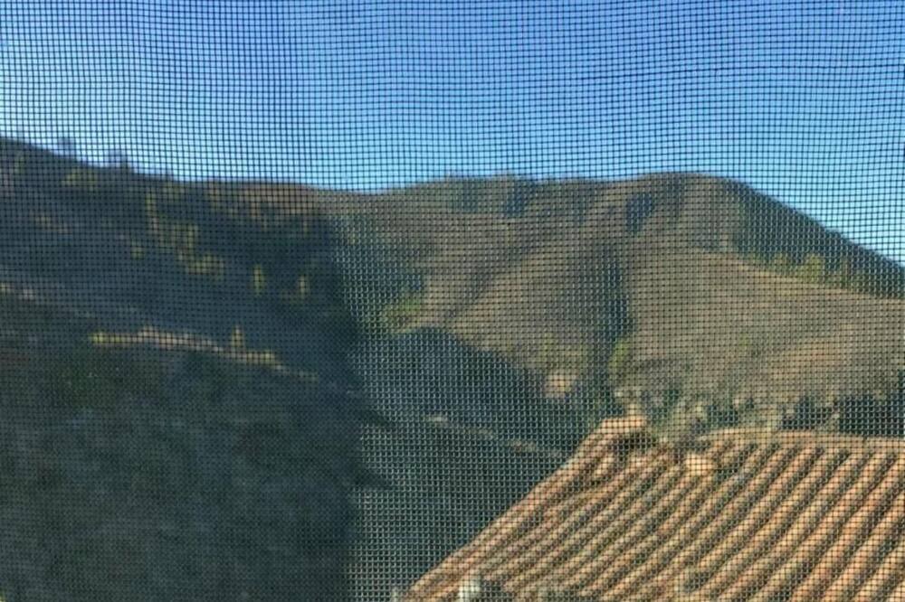 Photo of Outdoor in El Jaral