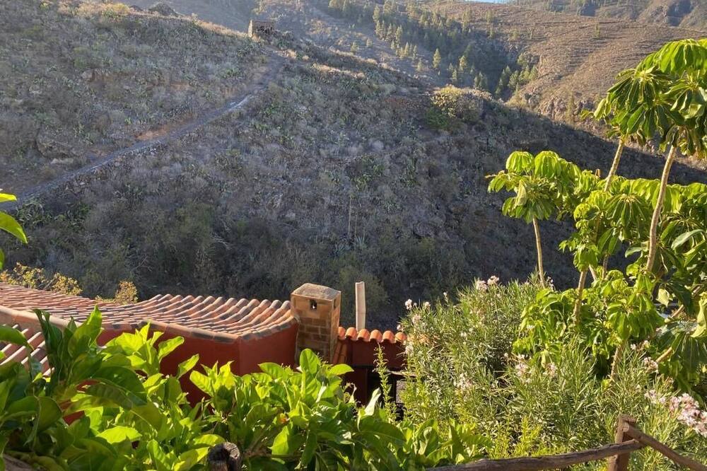Photo of Outdoor in El Jaral