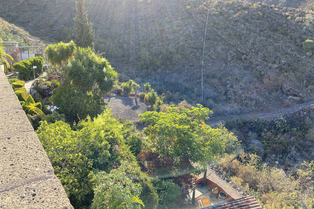 Photo of Others in El Jaral