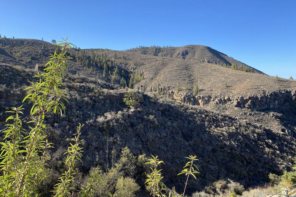 Photo of Outdoor in El Jaral