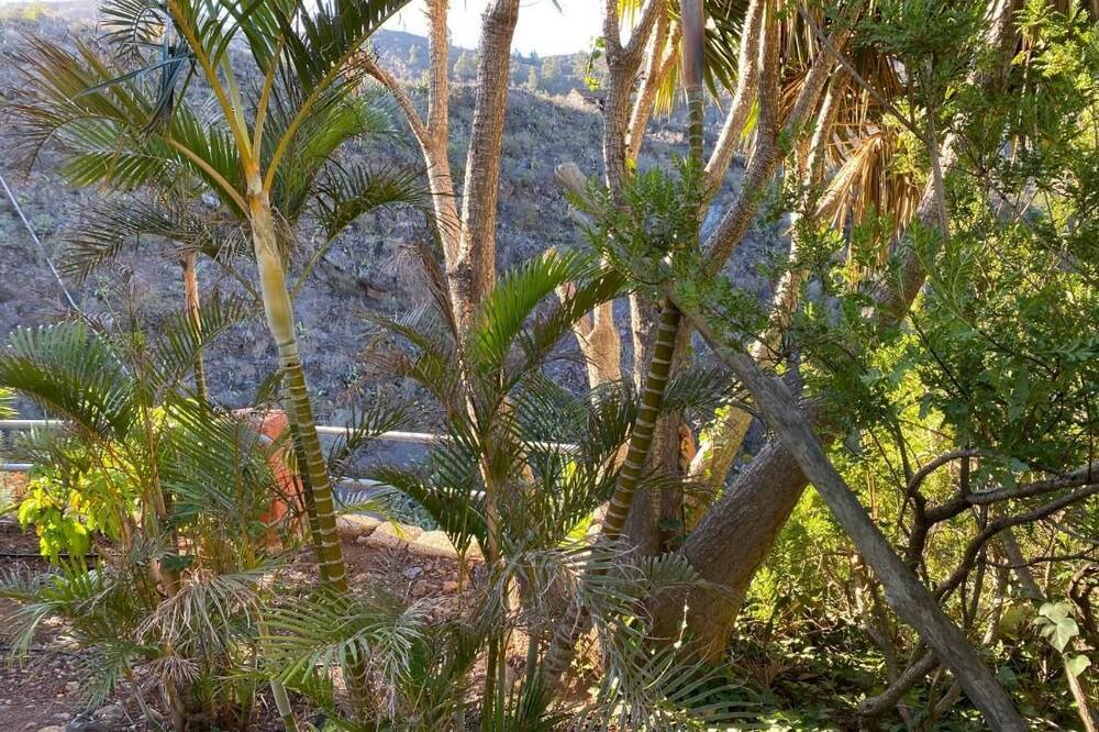 Photo of Outdoor in El Jaral