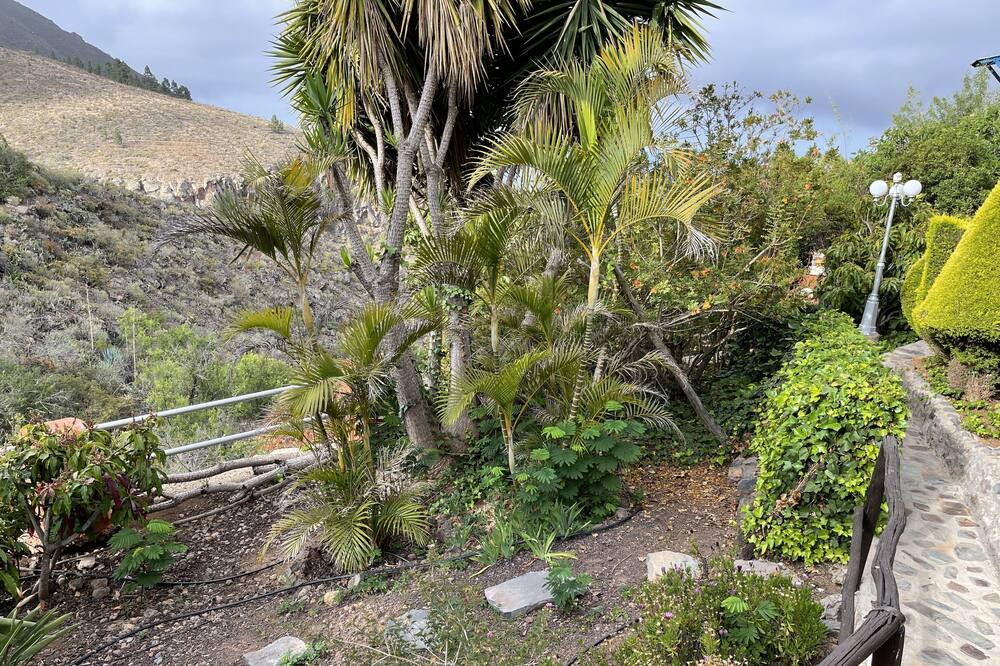Photo of Outdoor in El Jaral