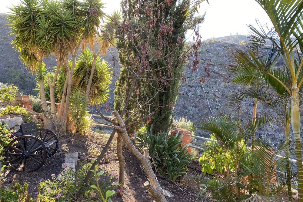 Photo of Outdoor in El Jaral
