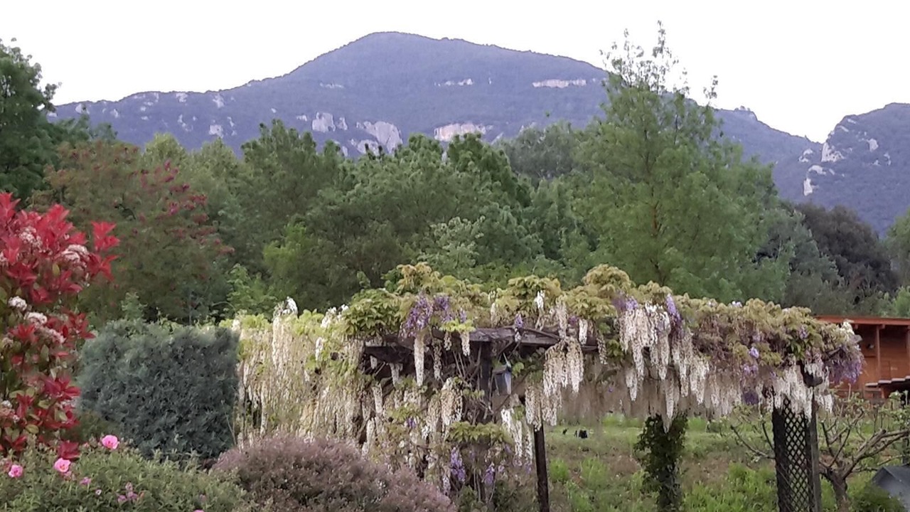 Photo of Outdoor in Sales de Llierca