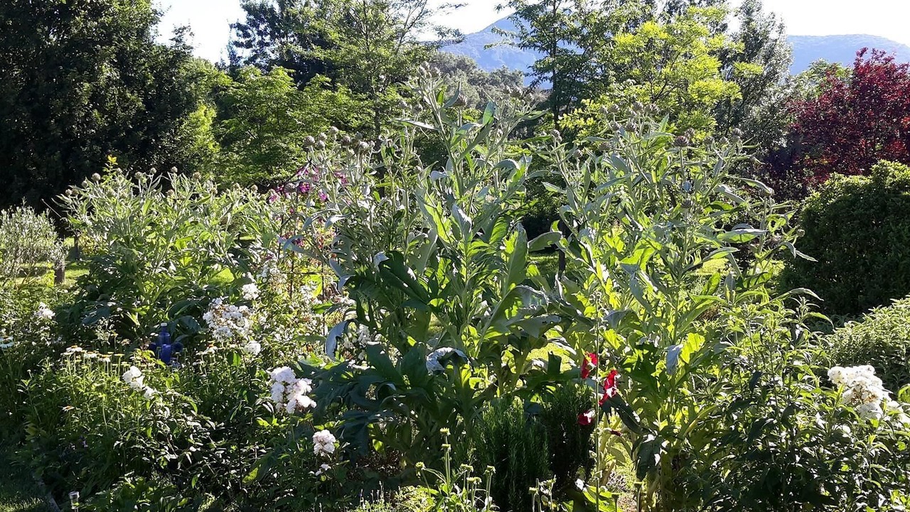 Photo of Outdoor in Sales de Llierca
