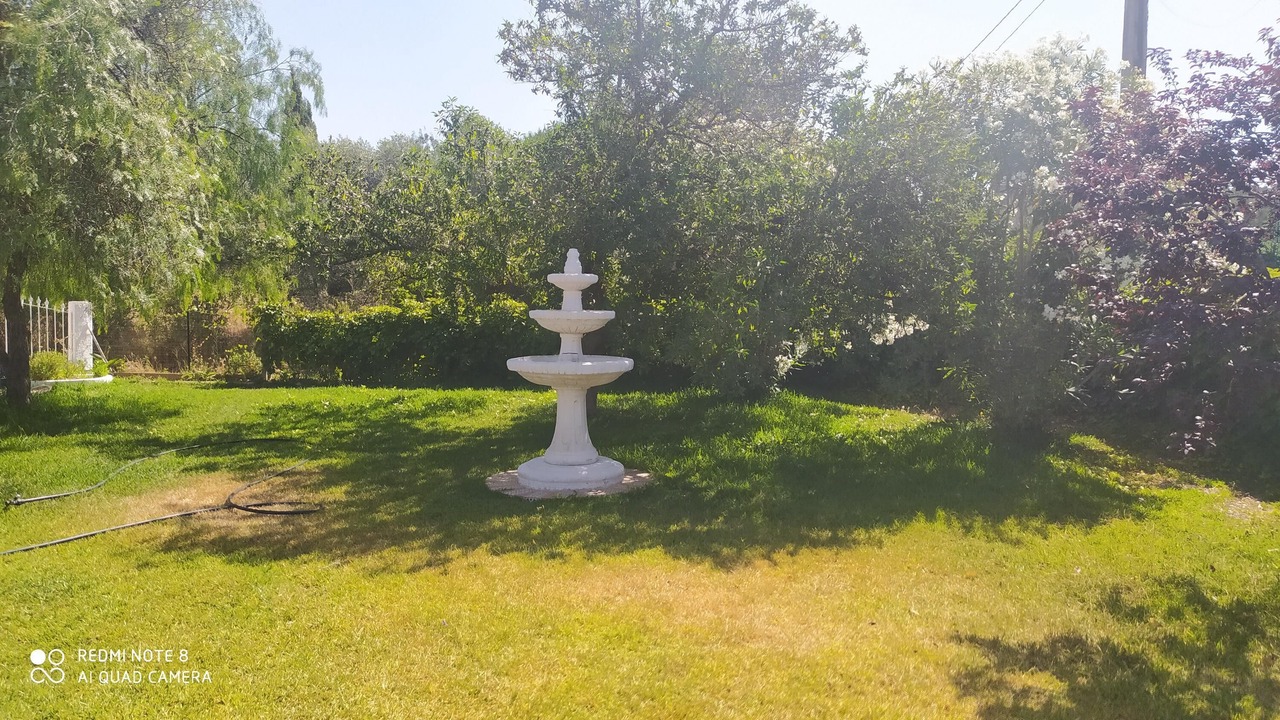 Photo of Outdoor in Beas