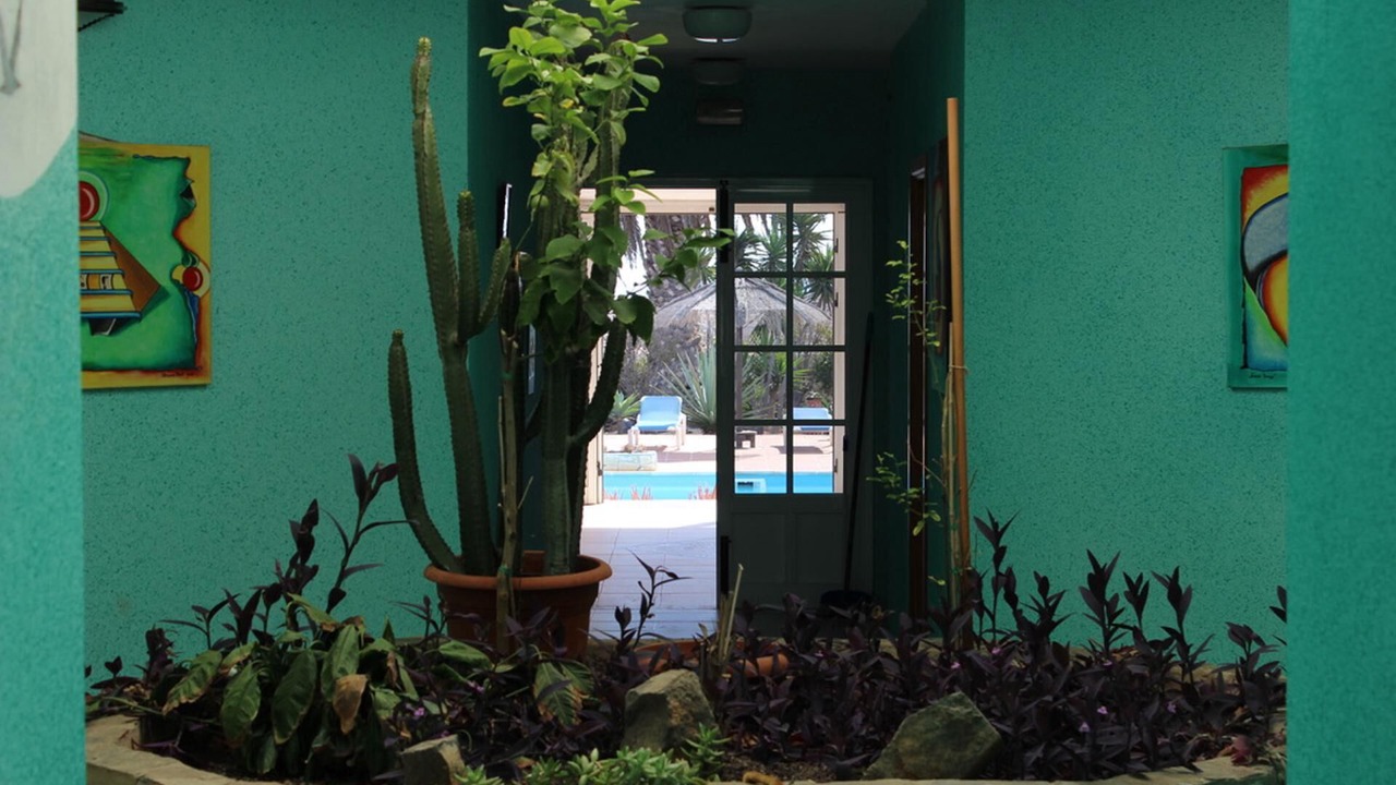 Photo of Outdoor in Parque Holandes