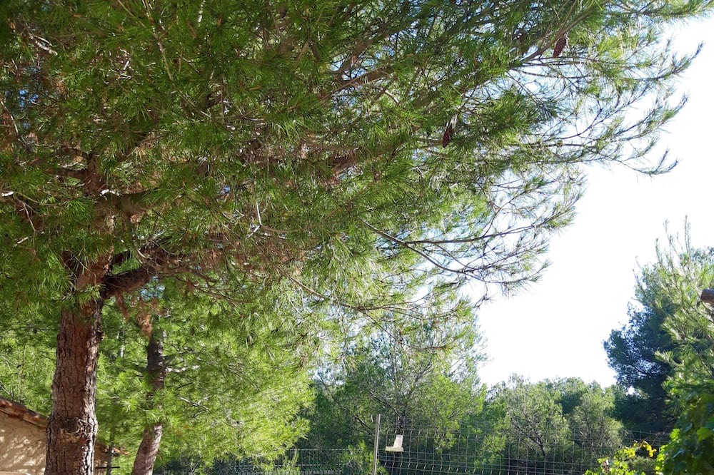 Photo of Outdoor in Niolon