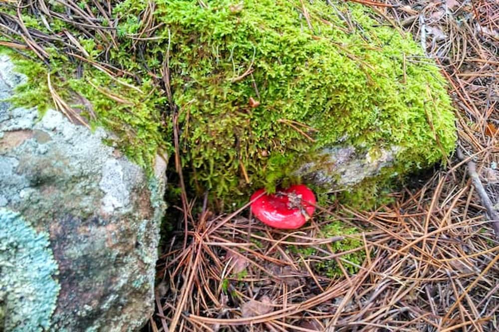 Photo of Outdoor in Beamud