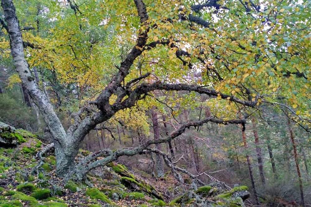 Photo of Outdoor in Beamud