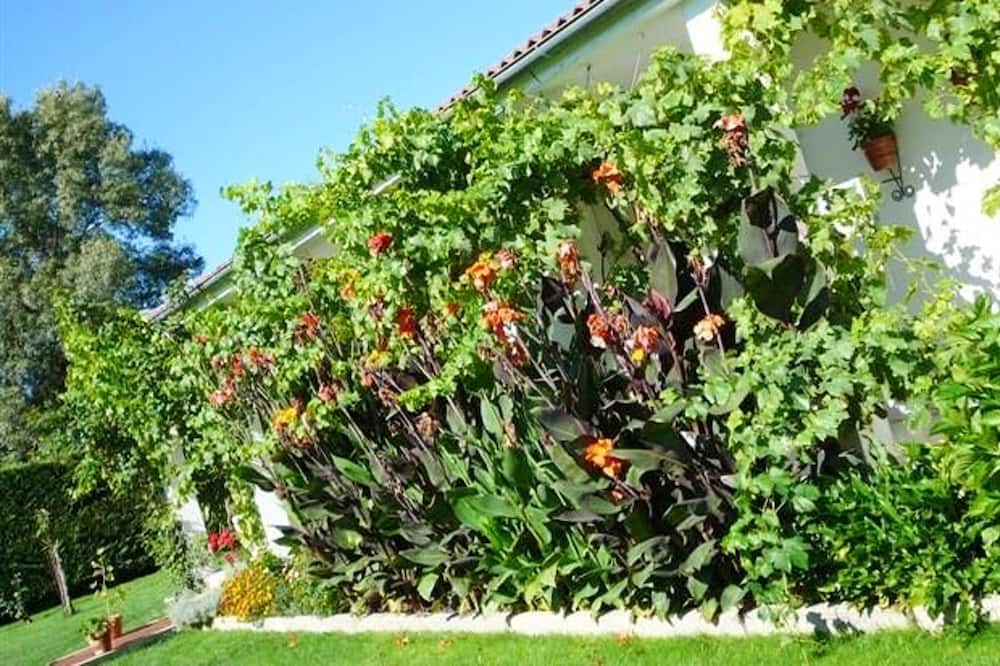 Photo of Outdoor in La Calzada de Bejar