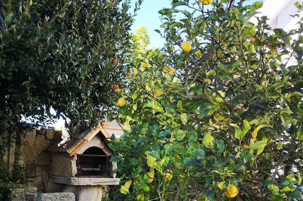 Photo of Outdoor in Alcabre