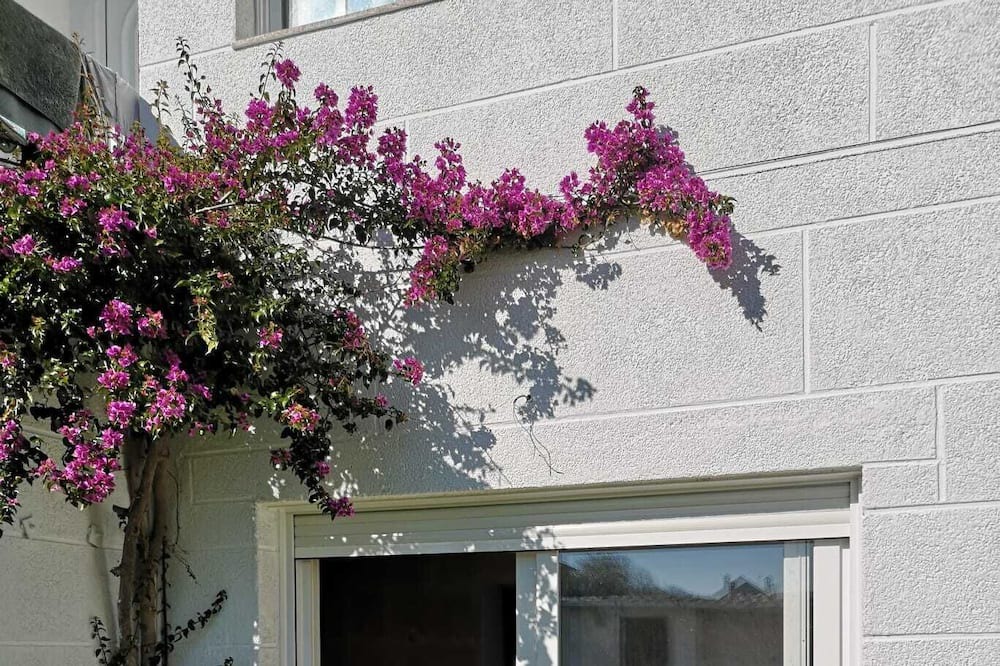 Photo of Outdoor in Alcabre