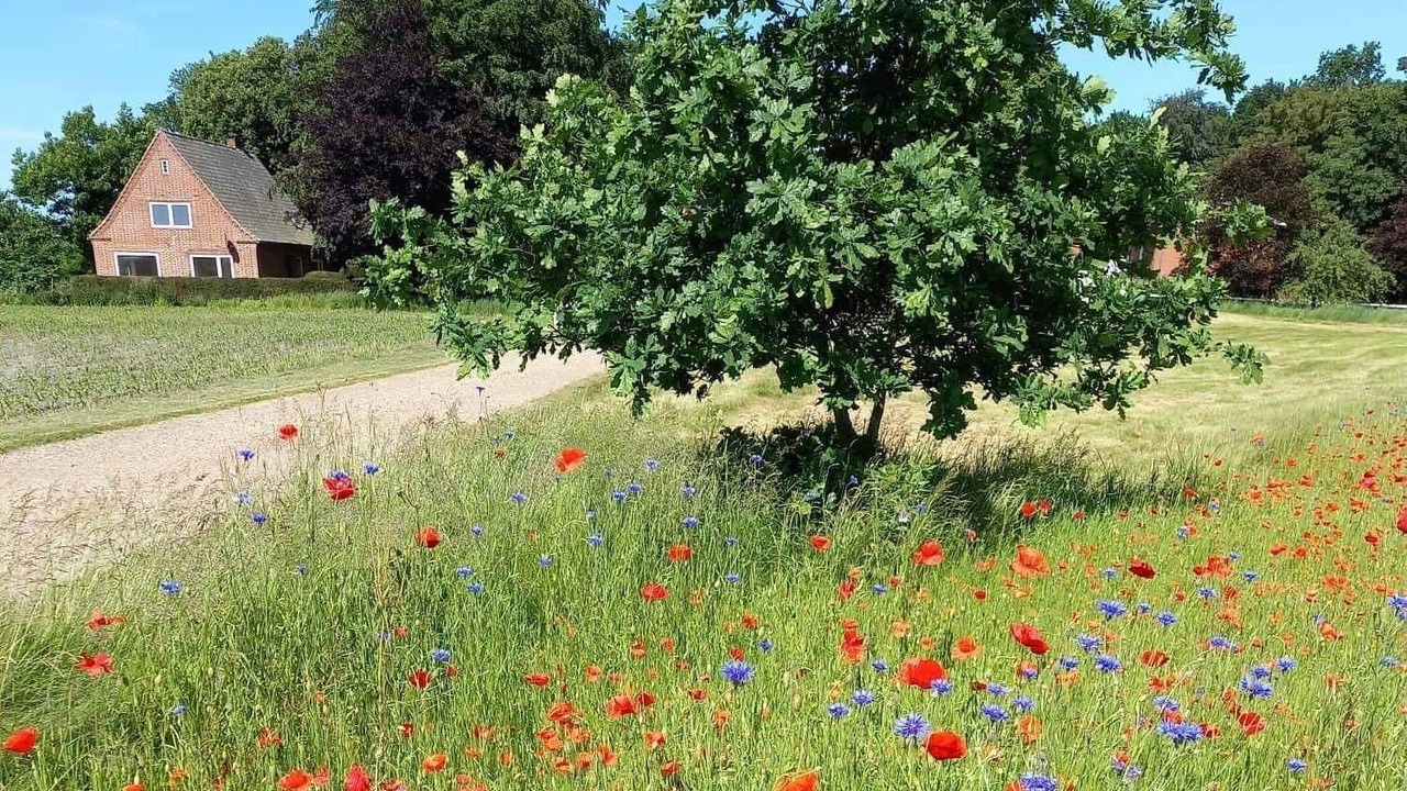 Photo of Outdoor in Nordfriesland