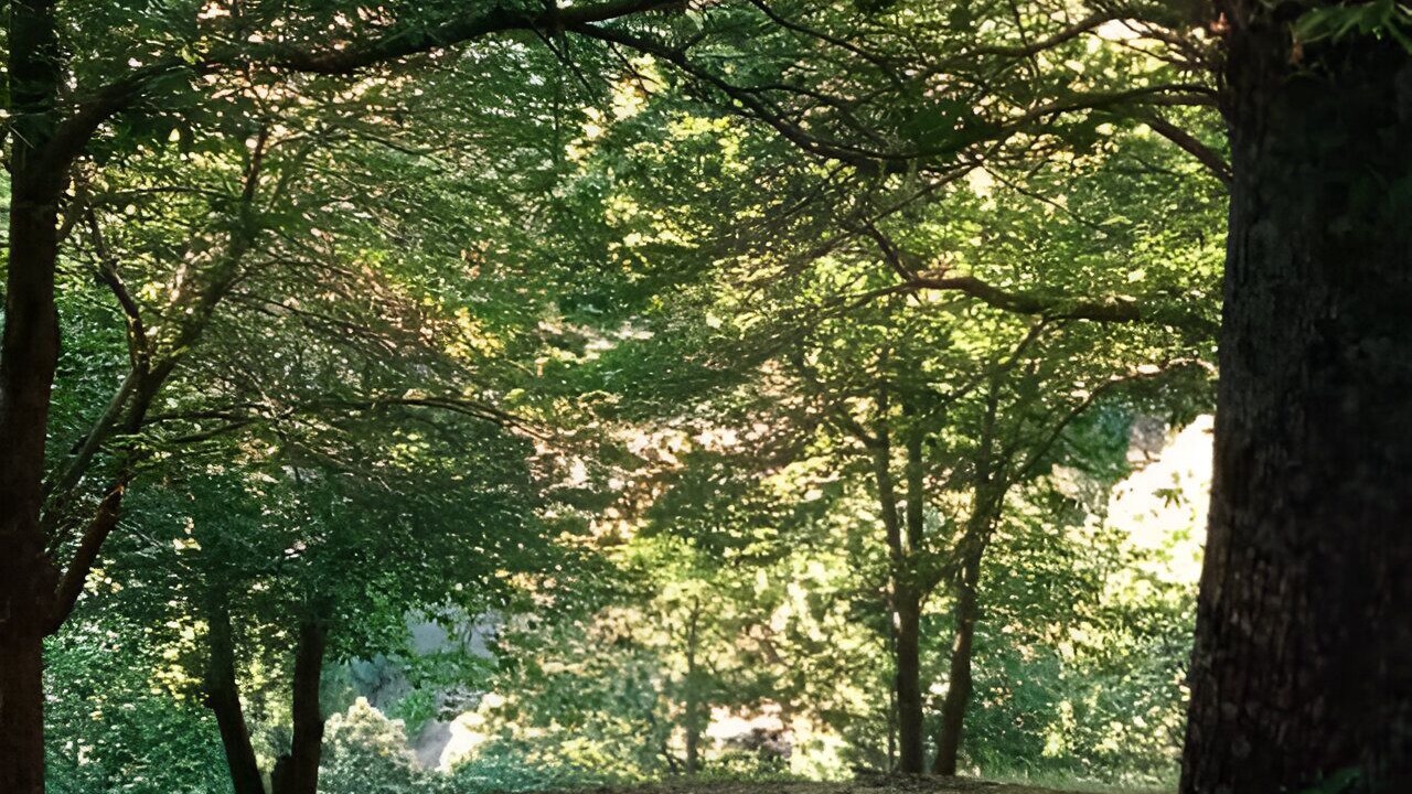 Photo of Outdoor in Pujerra