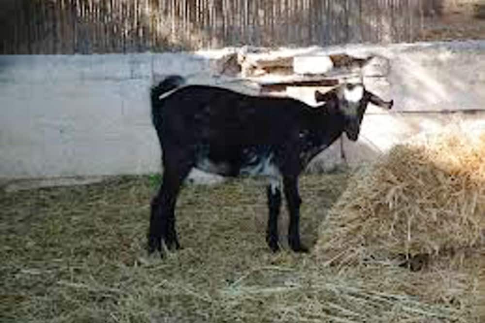 Photo of Outdoor in Estepa